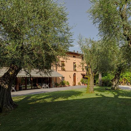Agriturismo Ripa Del Bosco Capriolo Екстериор снимка