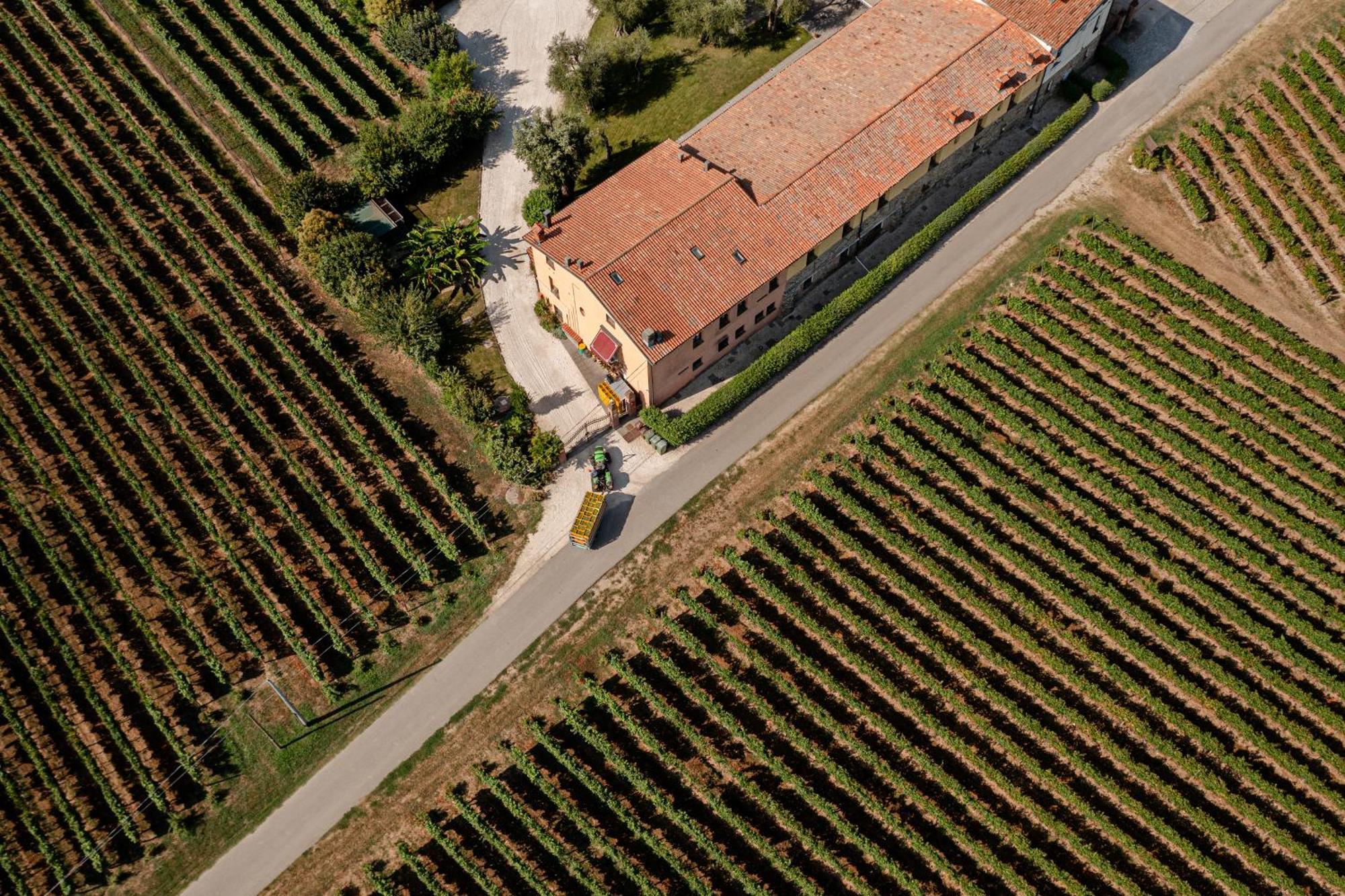 Agriturismo Ripa Del Bosco Capriolo Екстериор снимка